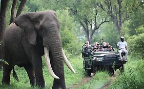 Karongwe Portfolio - Becks Safari Lodge