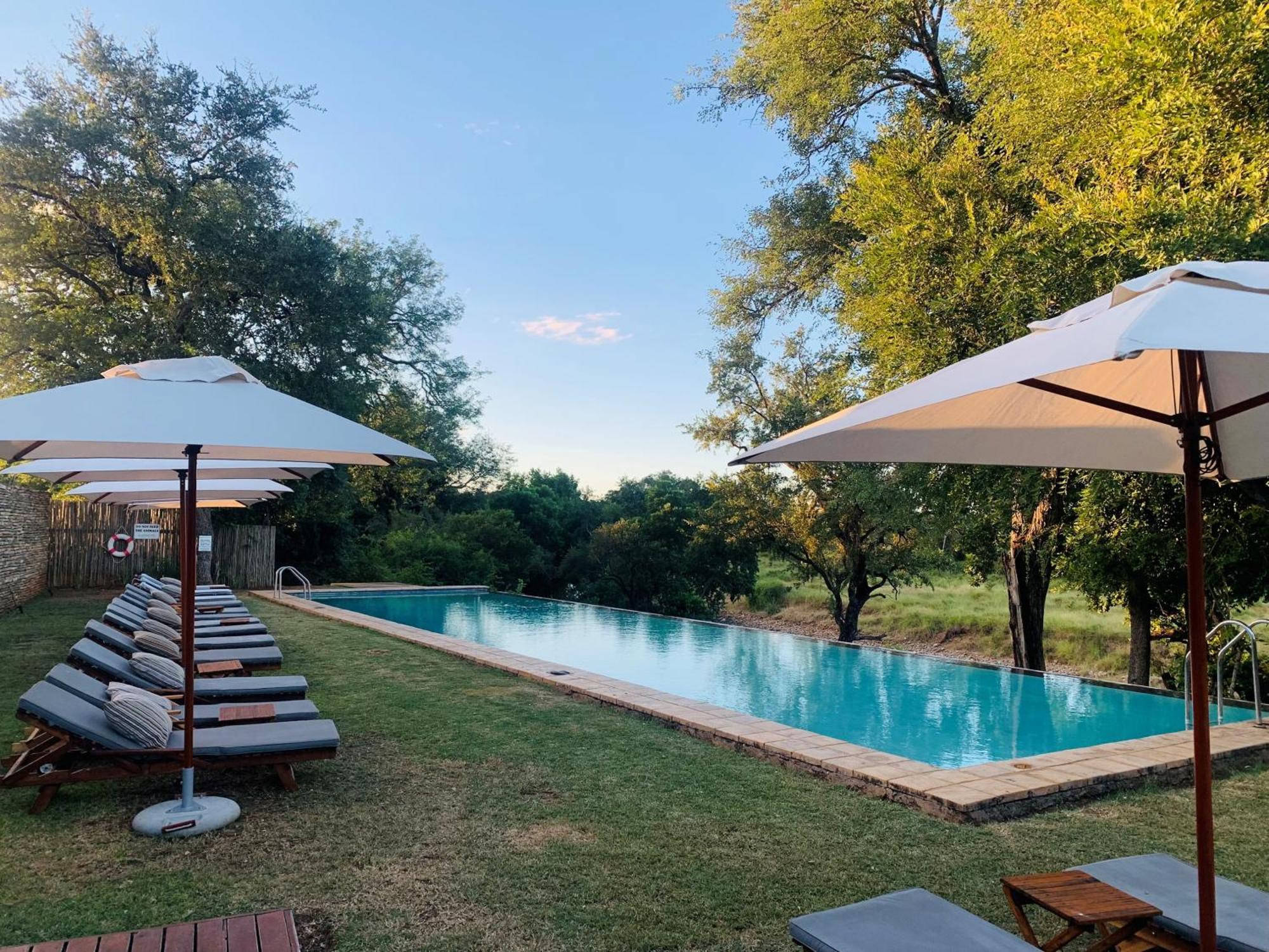 Karongwe Portfolio - Becks Safari Lodge Karongwe Game Reserve Exterior photo